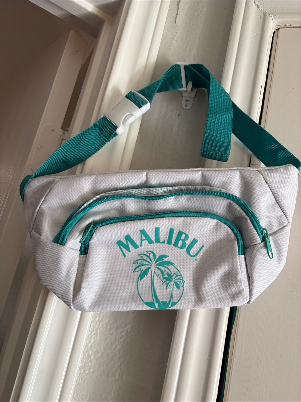 Malibu White and Teal Logo Crossbody Mini Bag